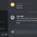 Can-you-tell-if-someone-is-invisible-on-Discord2