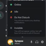 How-to-tell-if-someone-is-online-in-Discord2