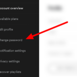 click-change-password-tab-spotify