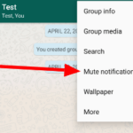mute-notification-on-whatsapp-mobile