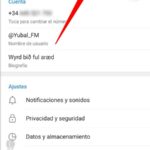 como-agregar-un-nombre-de-usuario-en-telegram